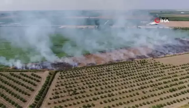 Bilinçsiz çiftçinin yaktığı anız, havadan böyle görüntülendi