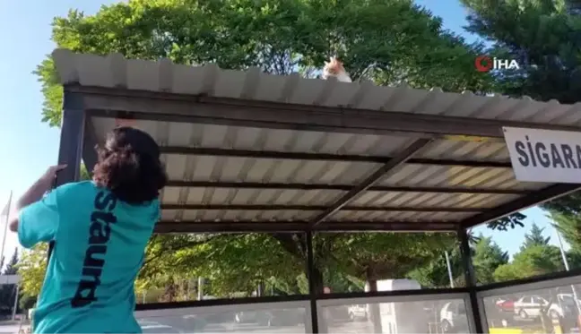 Son dakika haberi | Sigara içme alanı çatısında mahsur kalan kediyi hastane personeli kurtardı