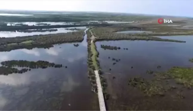 Kuş Cenneti'nin güzelliğine havadan bakış