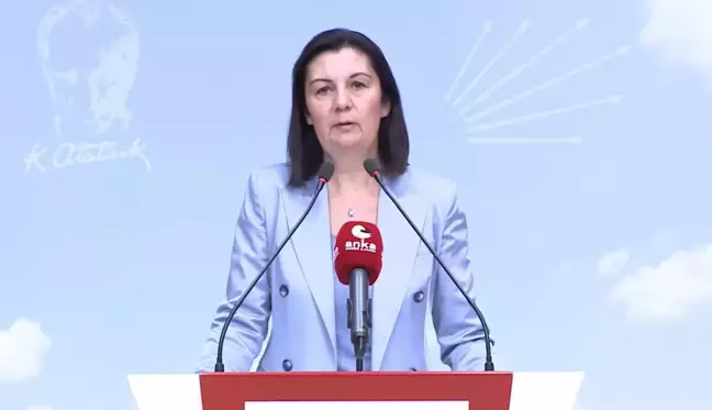 Lale Karabıyık: Meb, Bütçesinin Yüzde 1.6'sı ile Okul Bütçesi Oluşturabilir, Bu MEB'e ya da Devlete Bir Yük Asla Sayılmaz