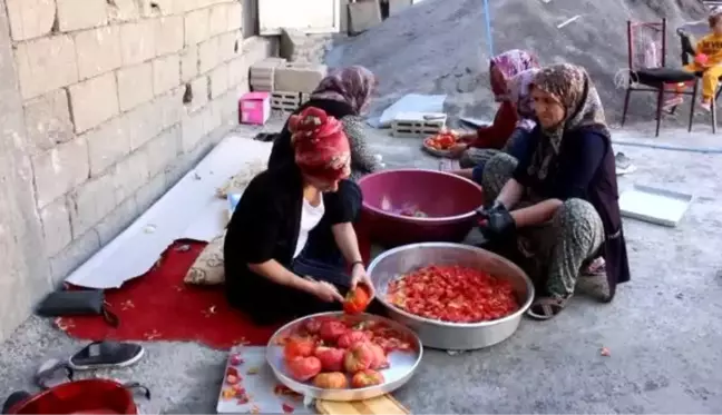 Kadınların salça mesaisi sürüyor