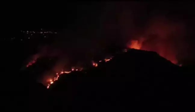 Muğla haberleri... Muğla'daki orman yangını kontrol altına alındı