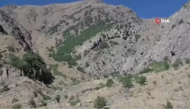 Son dakika 3. sayfa: Hakkari'de 'Eren Abluka-37' Operasyonu başlatıldı