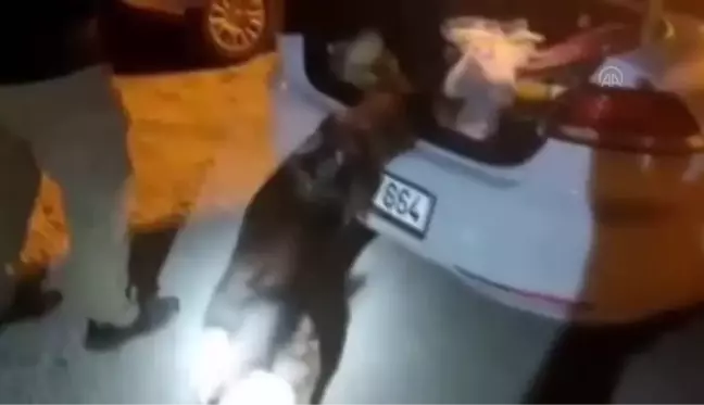 Otomobilde 32 bin 700 uyuşturucu hap ele geçirildi