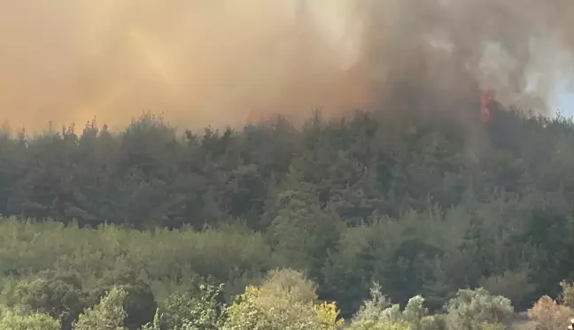 Son dakika haberi... Balıkesir'de çıkan orman yangınına müdahale ediliyor