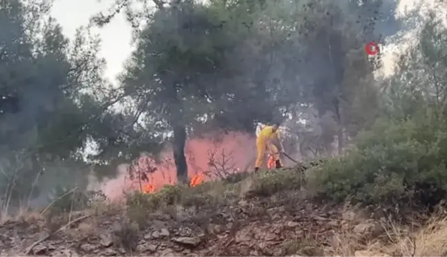 Son dakika haber! Hatay'da ormanlık alanda çıkan yangın evlere sıçramadan söndürüldü