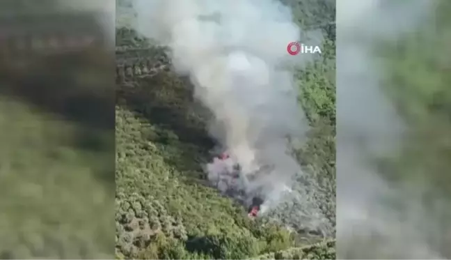 Son dakika haber... İznik'te orman yangını