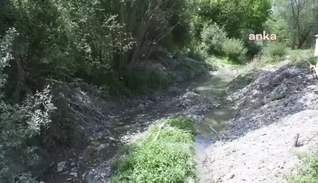 Ankara haberi... Ankara Büyükşehir'den Başkentli Afetzede Çiftçilere Kaba Yem Desteği