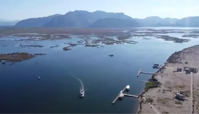 Dünyaca ünlü Dalyan İztuzu plajında deniz dibi temizliği