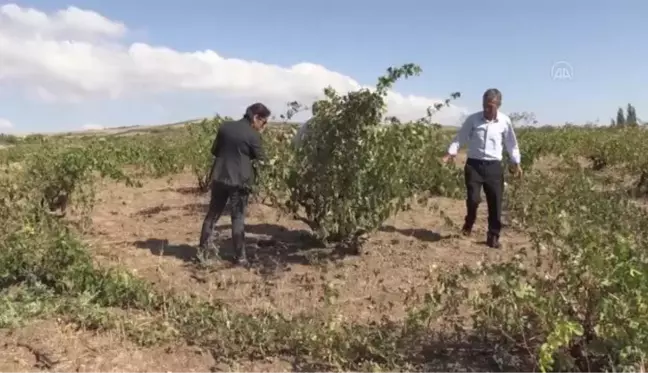 Dolu ve selden zarar gören köylerde hasar tespit çalışması