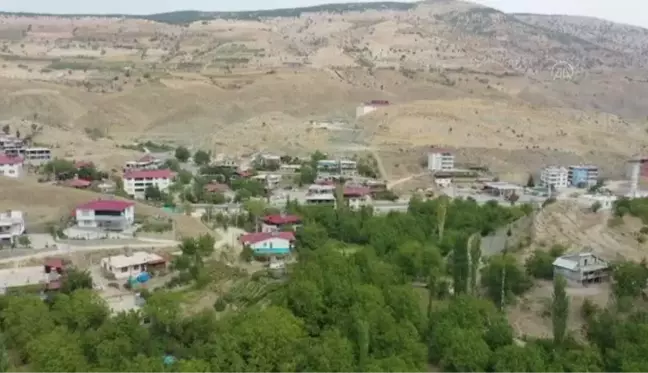 Kahramanmaraş gündem haberi... KAHRAMANMARAŞ - Taneyle satılan tescilli Çağlayancerit cevizinde bu yıl rekolte artışı bekleniyor