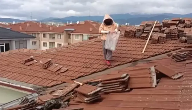 Okulun tadilat yapılan çatısındaki arı yuvaları temizlendi