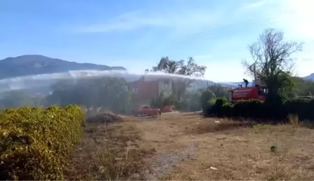 Üzüm bağında çıkan yangın söndürüldü