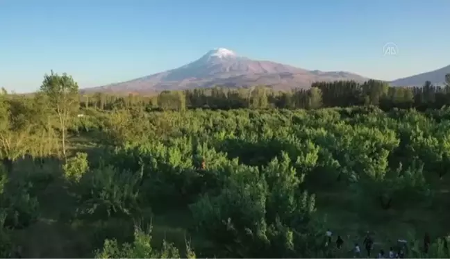 Doğa kampı yapan ilkokul öğrencileri 