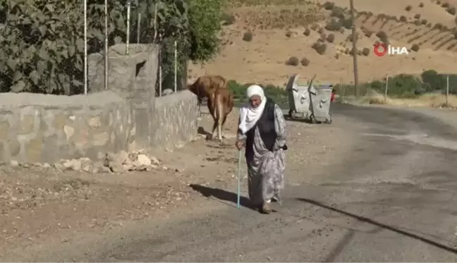 Batman haberi: Gercüş'te gönüllü gençler çevre temizliği yaptı