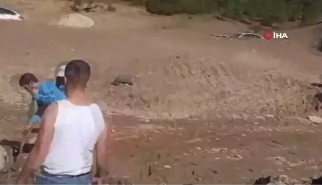 Vatandaşlar bataklığa saplanan inek için seferber oldu