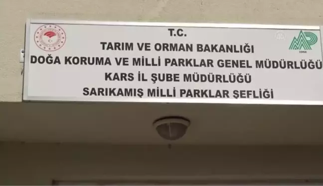 Son dakika haberleri! Çocukların yaralı bulduğu kerkenez tedaviye alındı