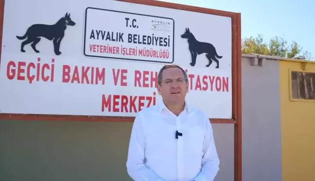 Balıkesir haberleri | Ayvalık'ta Dünya Hayvanları Koruma Günü, Hayvanseverler ve Öğrencilerle Kutlandı