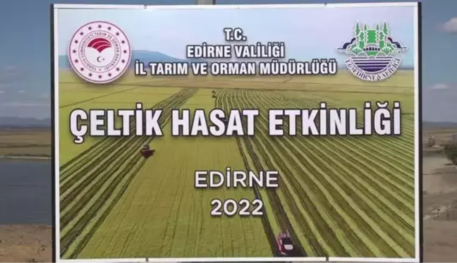 Edirne haber | İpsala Ovası'nda çeltik hasadı etkinliği