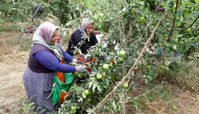 İşsizliği bitiren bu köy, il ve ilçelerden göç alıyor