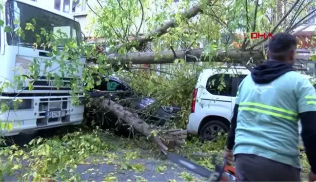 SARIYER'DE KAMYONUN TAKILDIĞI AĞAÇ ARAÇLARIN ÜZERİNE DEVRİLDİ