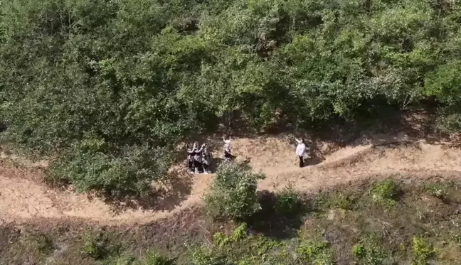 Sosyal Medya Pazarlaması, Çin'in Bir Köyündeki Çay Yağı Satışlarını Artırmaya Yardımcı Oldu