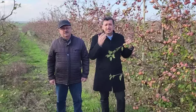 Okan Gaytancıoğlu, Meyve Bahçelerinin Yabancılara Vatandaşlık İçin Satıldığını İleri Sürdü: 