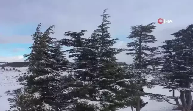 Yaylalar beyaza büründü... Kar ve buzlanma nedeniyle sürücüler zor anlar yaşadı