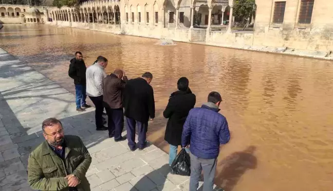 Böylesi ilk kez oluyor! Deprem sonrası Balıklıgöl'e gelenler gözlerine inanamıyor