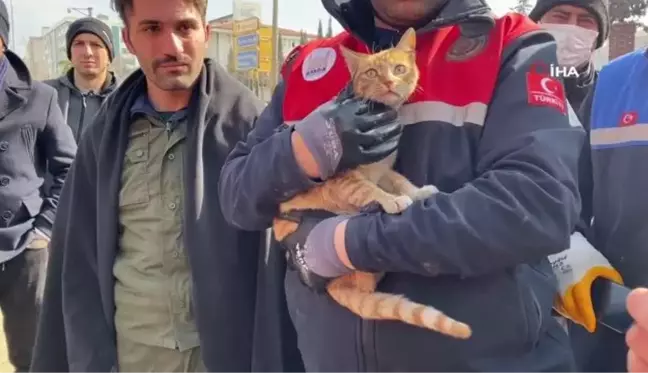 Ses geldiği için girdikleri binada 104 saat mahsur kalan kediyi kurtardılar