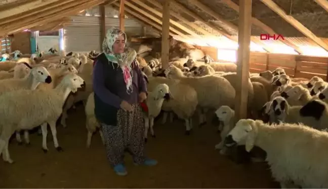 BORÇLA ALDIKLARI EVLERİ YIKILINCA, AHIRI EV YAPTILAR