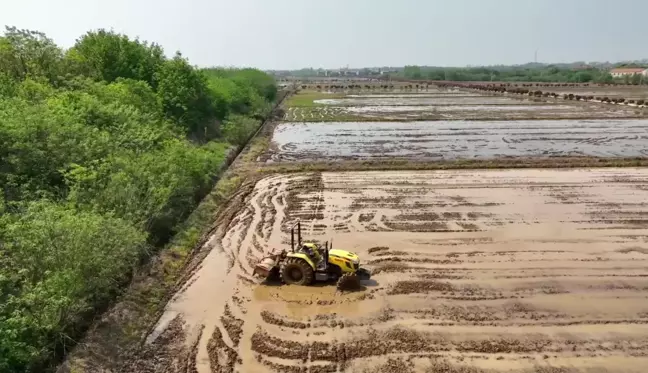 Çin'in Hubei Eyaletinde Çiftçiliğe Akıllı Teknoloji Hakim