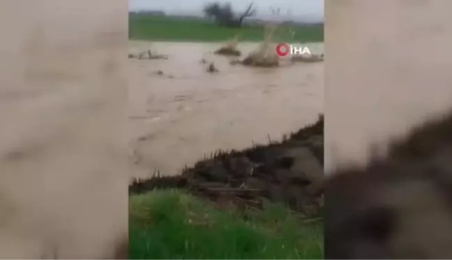 Elazığ'da sağanak sonrası evler ve tarım arazileri sular altında kaldı