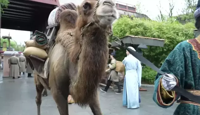 Qingming Festivali'nde Antik Bir Çin Tablosundaki Sahneler Canlandırıldı