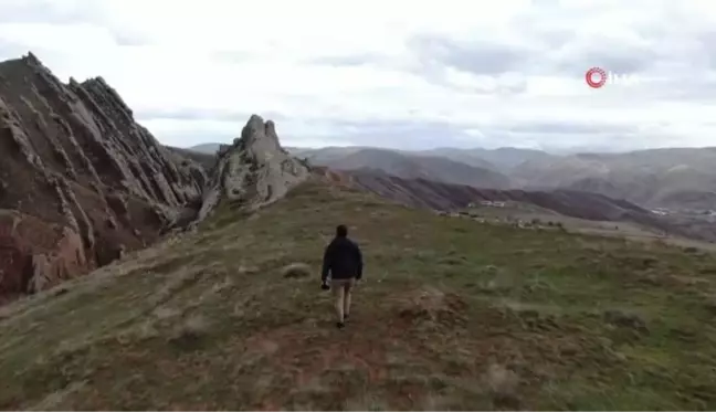 Doğada nadir görülen yaban keçilerini sürü olarak görüntüledi