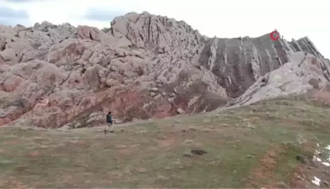 Yıllardır peşindeydi, doğada nadir görülen vaşağı böyle görüntüledi