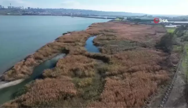 İstanbul'da barajların doluluk oranı yüzde 45'in üzerine çıktı