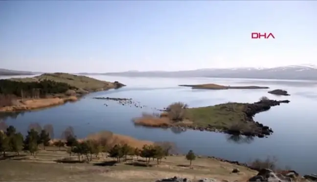 BUZLARI ERİYEN ÇILDIR GÖLÜ, KUŞ CENNETİNE DÖNDÜ