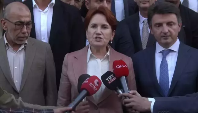 Meral Akşener, Deprem Bölgesindeki Yılan Tehlikesine Dikkat Çekti: 