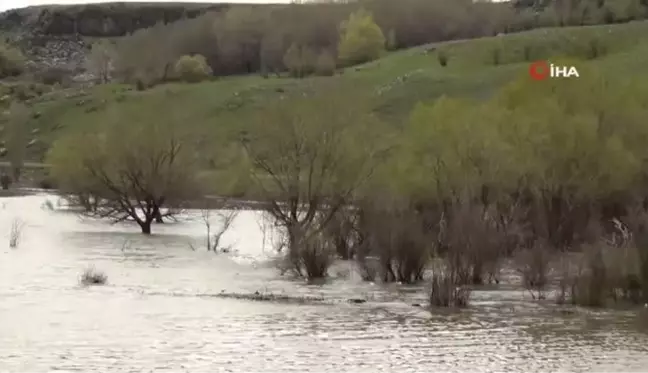 Kars'ta ağaçlar baraj suları altında kaldı