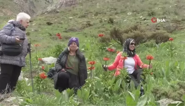 Yerli turistler Kato Dağı'nda