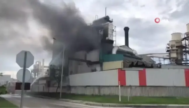 Tekirdağ'da kereste fabrikasındaki yangın büyümeden söndürüldü