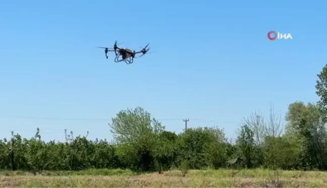 Çeltikler Düzce'de dron ile dikilecek