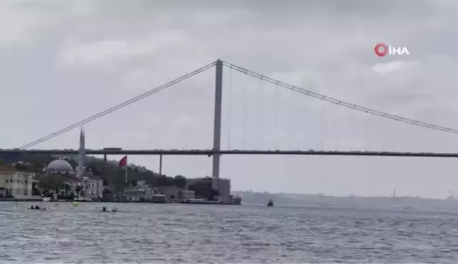 İstanbul Boğazı'nda istavrit bolluğu oltacıları sevindirdi