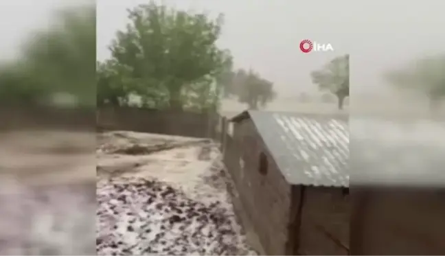 Osmaniye'de dolu yağışı buğday tarlalarını vurdu