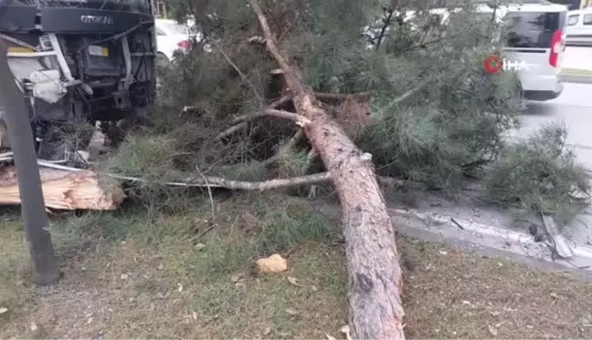 Samsun'da işçi servisi kazası: 9 yaralı ve bir karga yavrusu