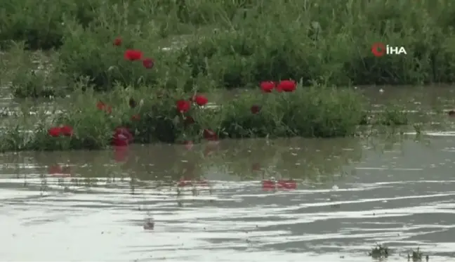 Muş'ta sel felaketinin yaraları sarılıyor