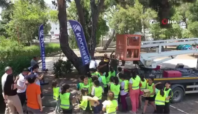 Mersin'deki Tabiat Parkı'nda Kuşlar İçin Özel Yuvalar Hazırlandı