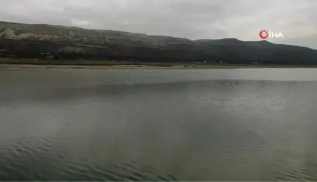 Kuraklıkla boğuşan Burdur Gölü'nde flamingoların dansı böyle görüntülendi