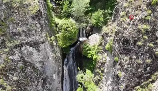 Tokat'ta doğaseverlerin uğrak noktası: Şelale yolculuğu